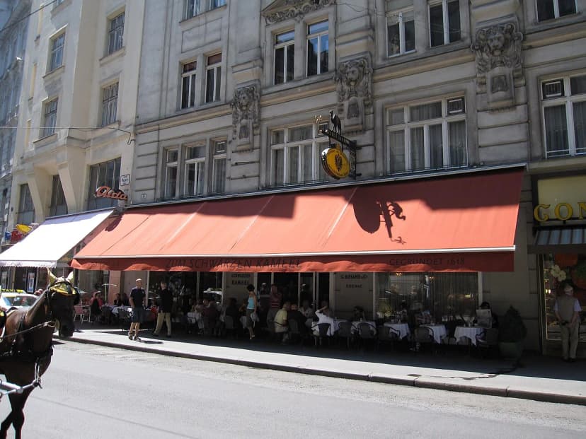 12 Best Restaurants in Vienna: Where to Eat by District and Dish in 2026