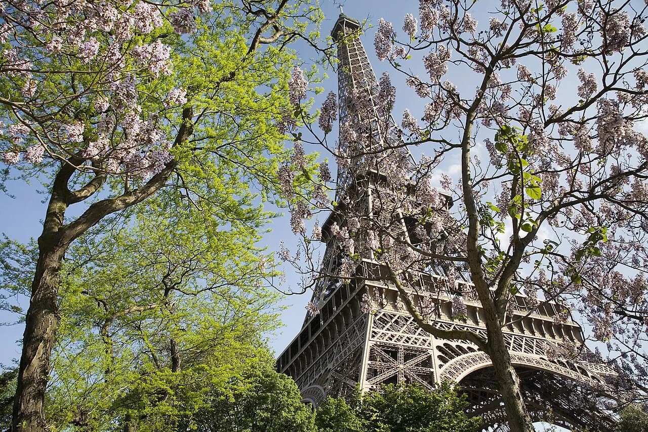 Best Time to Visit Paris: Seasonal Guide & Expert Timing Tips