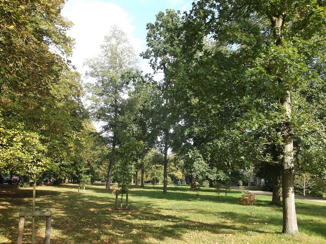 Cambridge College Gardens: Access, Hours and Which to Visit