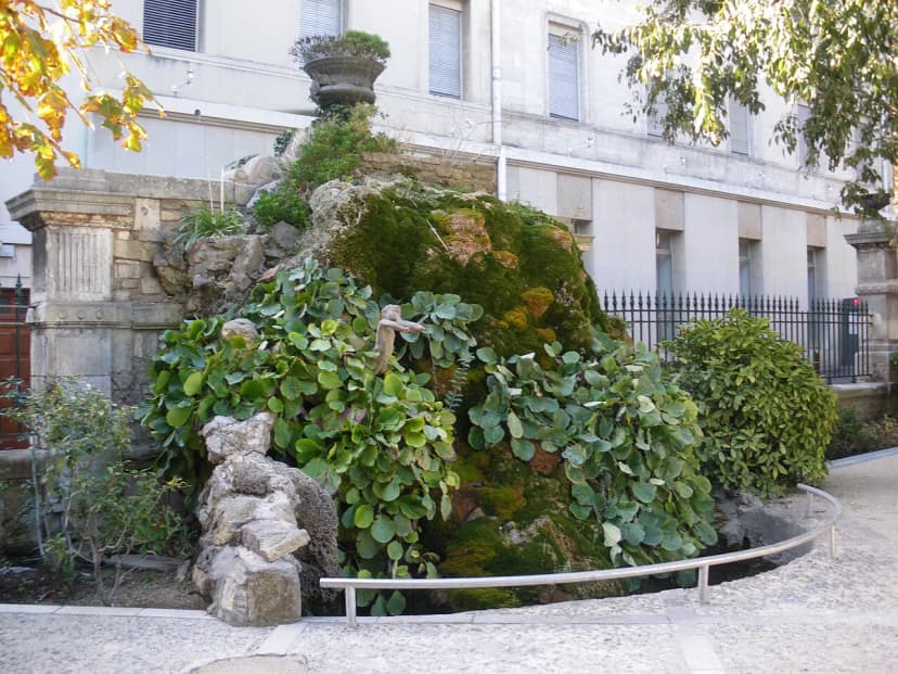 Free Things to Do in Avignon: A 2026 Budget Guide