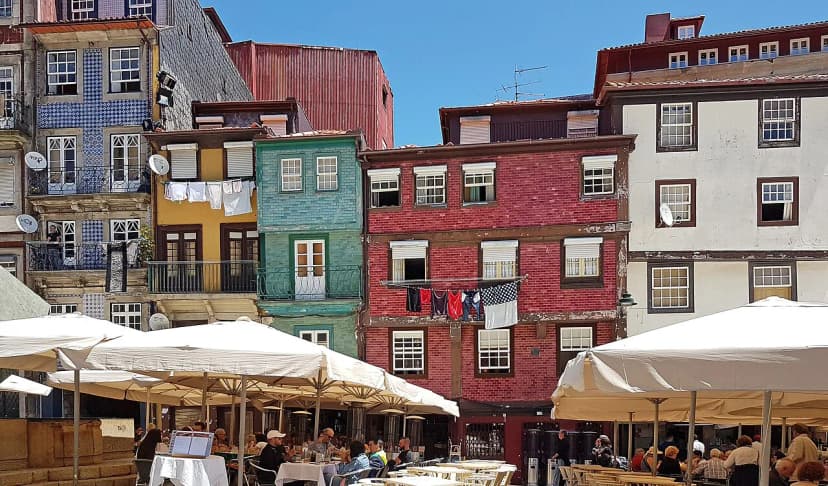 Free Things to Do in Porto: A 2026 Budget Guide
