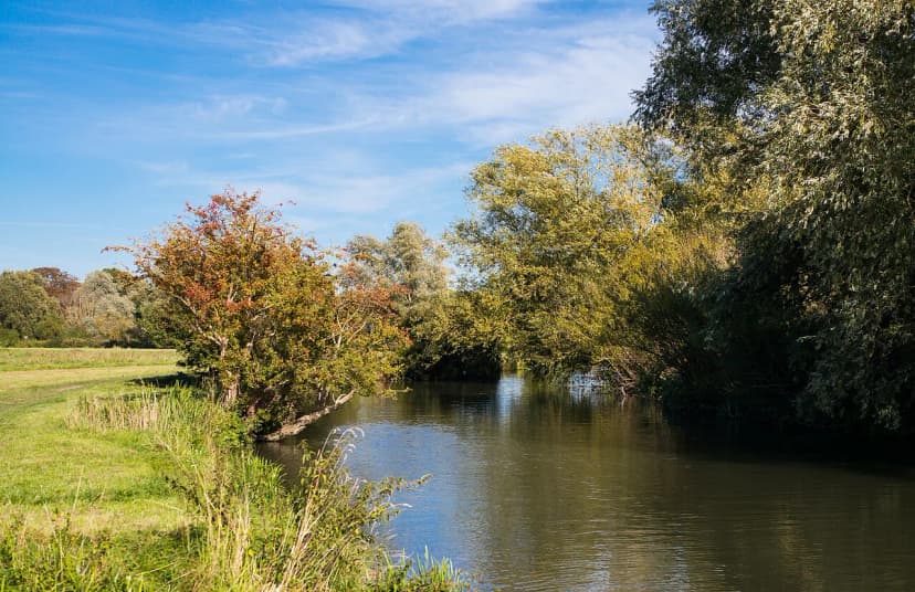 Grantchester Walk Guide: Routes, Mud Ratings & Orchard Tea Garden