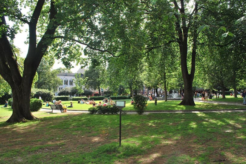 Grünerløkka Oslo Guide: Shops, Parks, Sunday Markets and a Compact Loop
