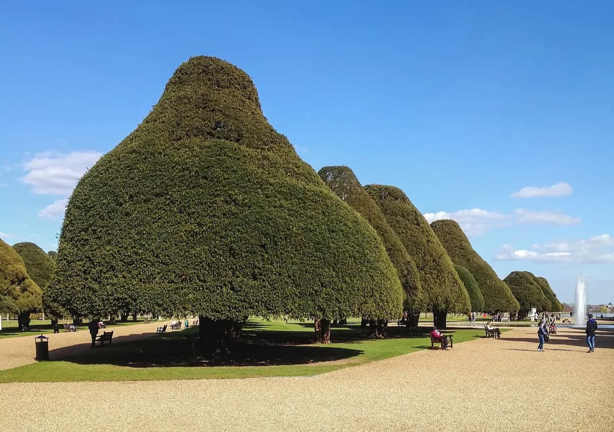 Hampton Court Palace Tickets, Prices & Opening Hours 2026: Visitor Guide