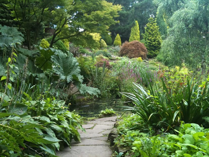 Hidden Gem Parks in Manchester: A Local's Guide