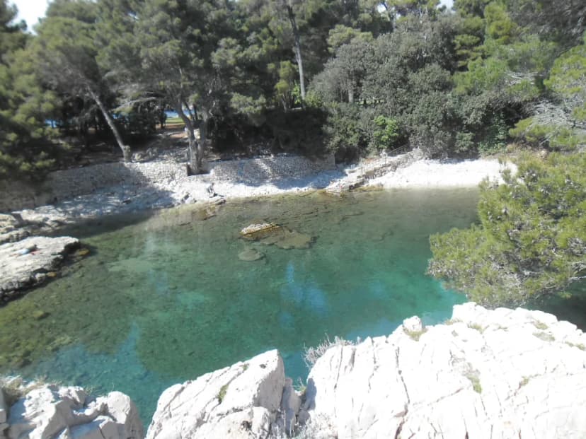 6 Lokrum Island Hidden Gems Beyond the Iron Throne (2026 Guide)