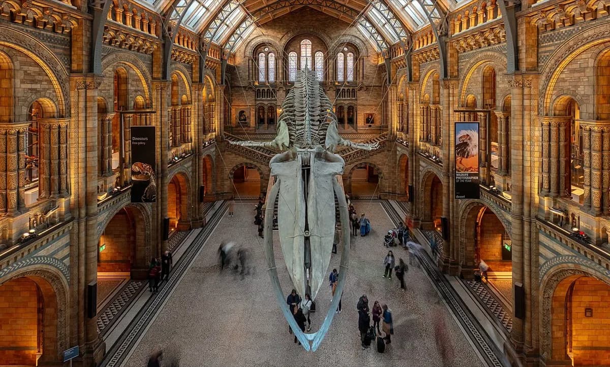 Natural History Museum London Tickets, Prices & Opening Hours 2026: Visitor Guide
