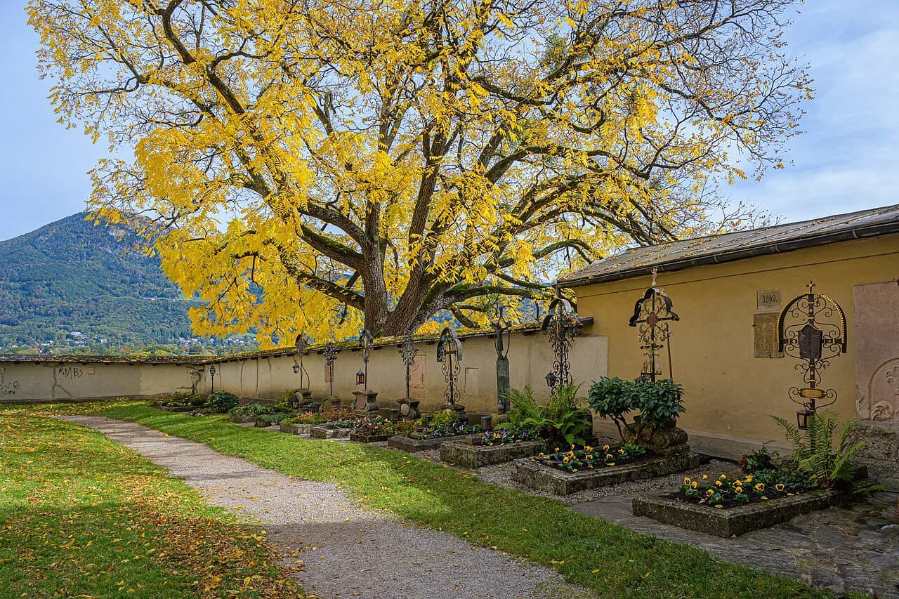 Nonntal Salzburg: A Walking Guide to the Quiet Side of the Old Town
