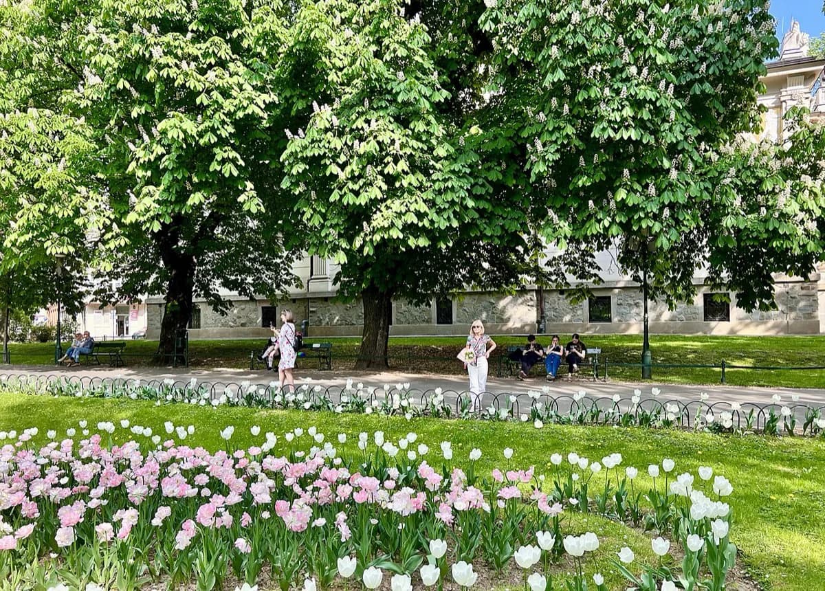 Planty Park Tickets, Prices & Opening Hours 2026: Visitor Guide