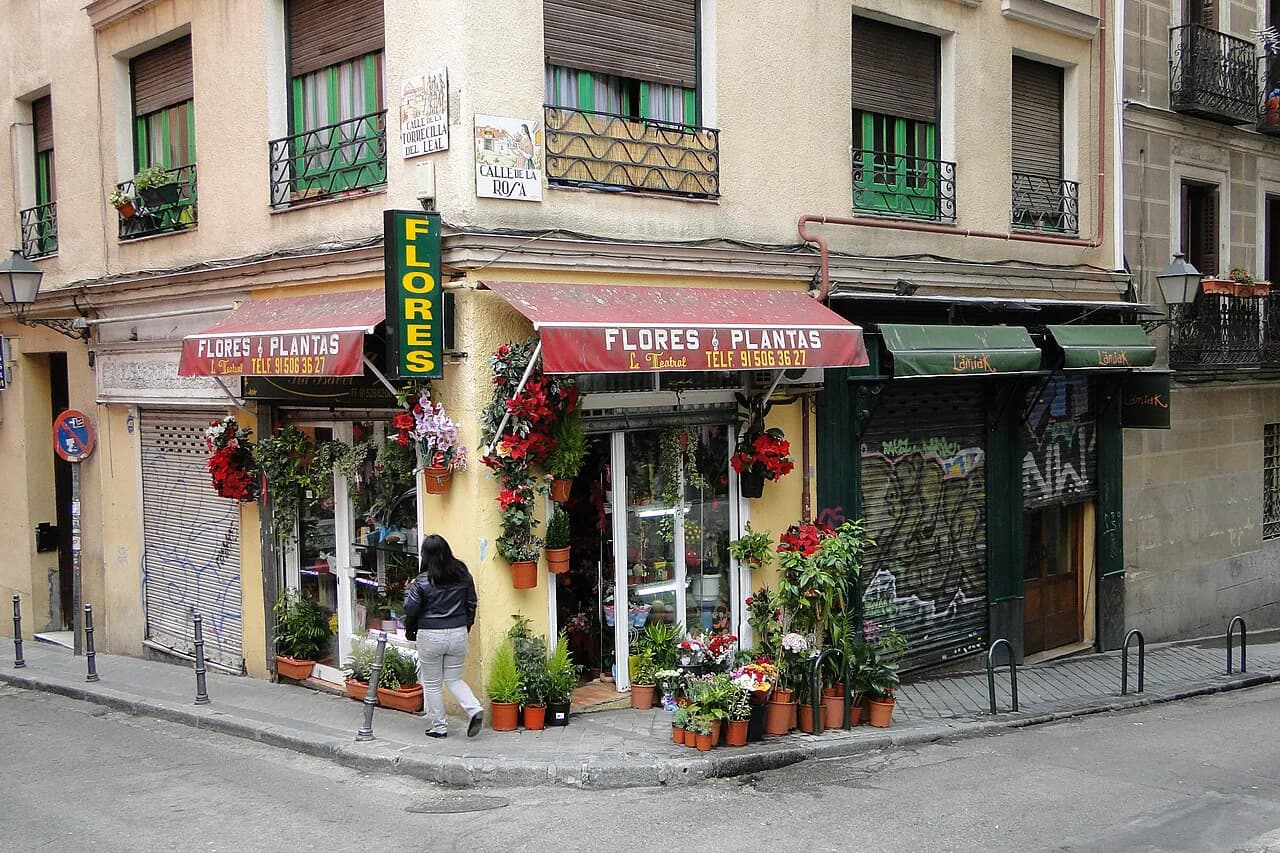 Shopping in Madrid: A Neighborhood Guide for 2026