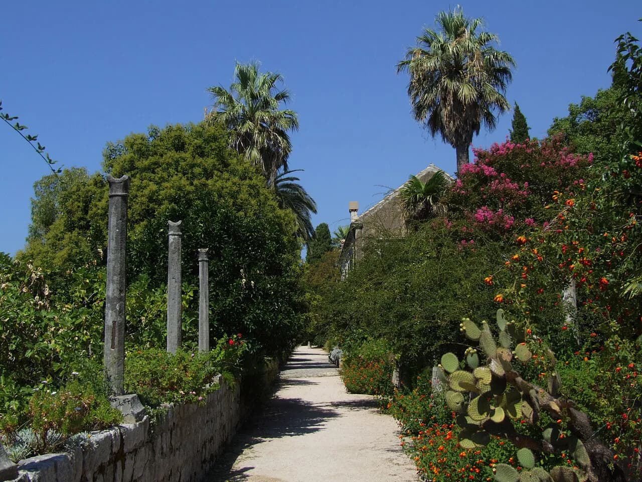 Trsteno Arboretum Dubrovnik: 2026 Hours, Prices, and Game of Thrones Filming Spots