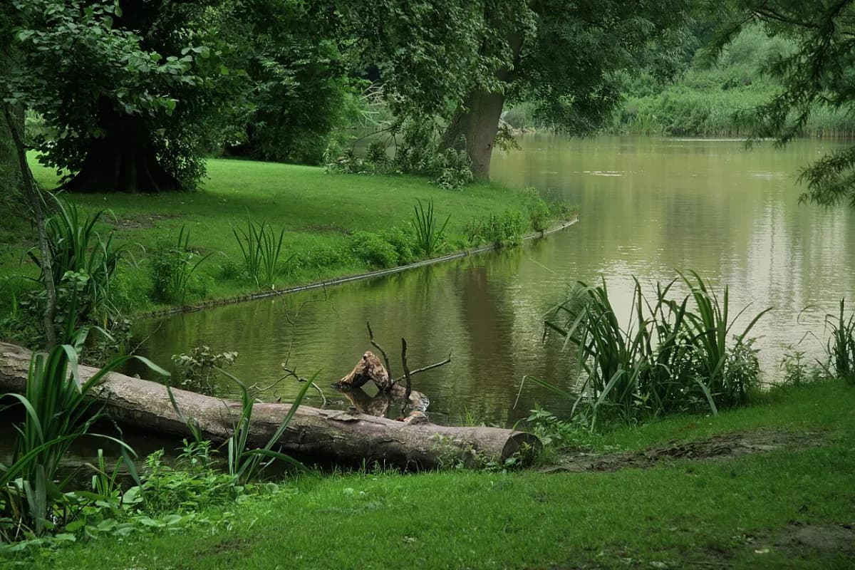 Vondelpark Tickets, Prices & Opening Hours 2026: Visitor Guide
