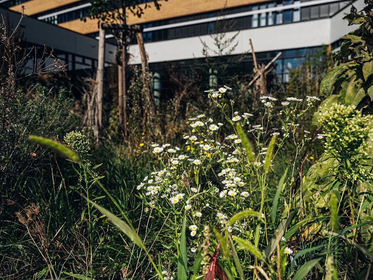 Biologiezentrum der Universität Wien - UBB (Ian Ehm) 2 — 1