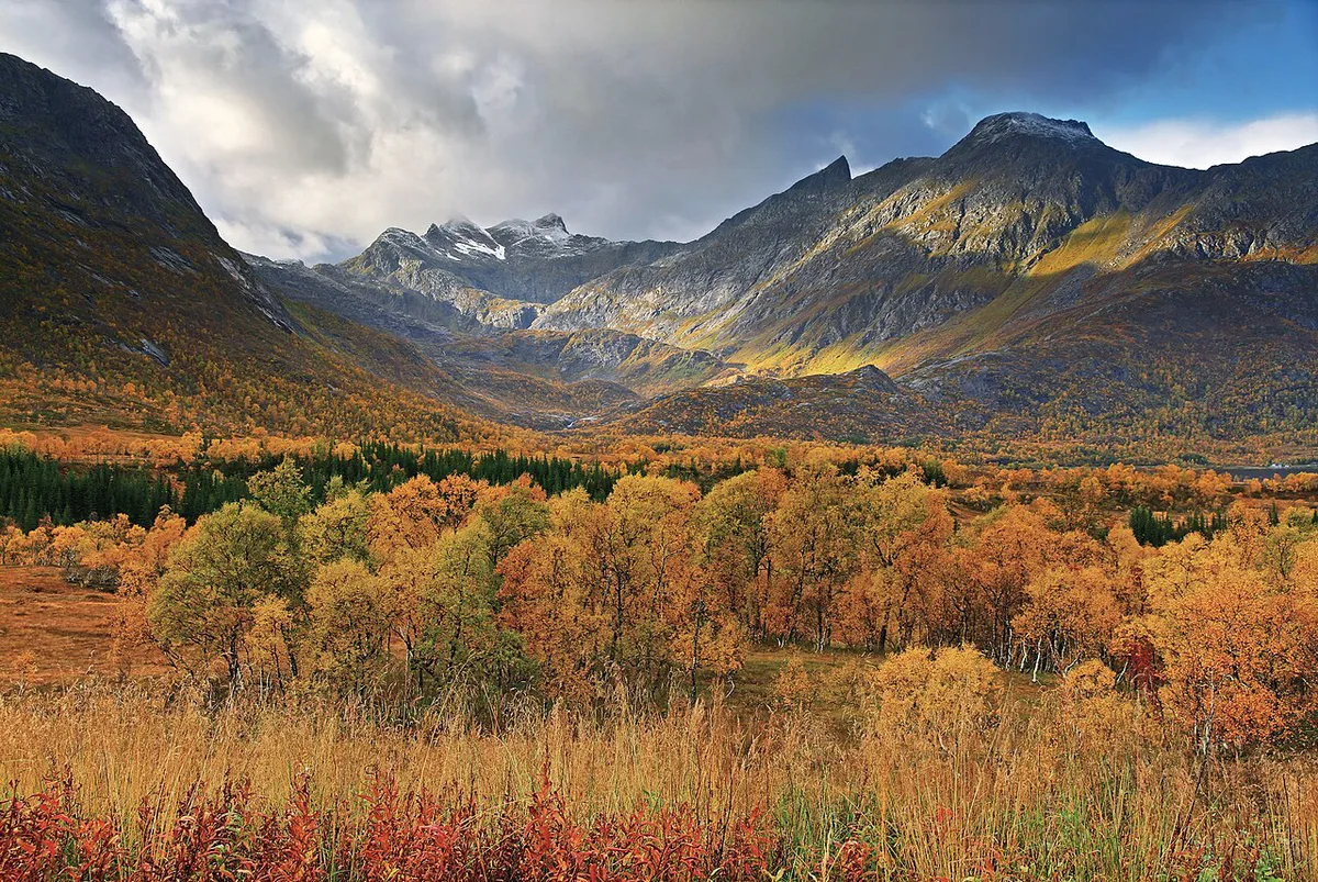 Autumn landscape near Gullesfjordbotn  Hinnøya  2010 September — 1