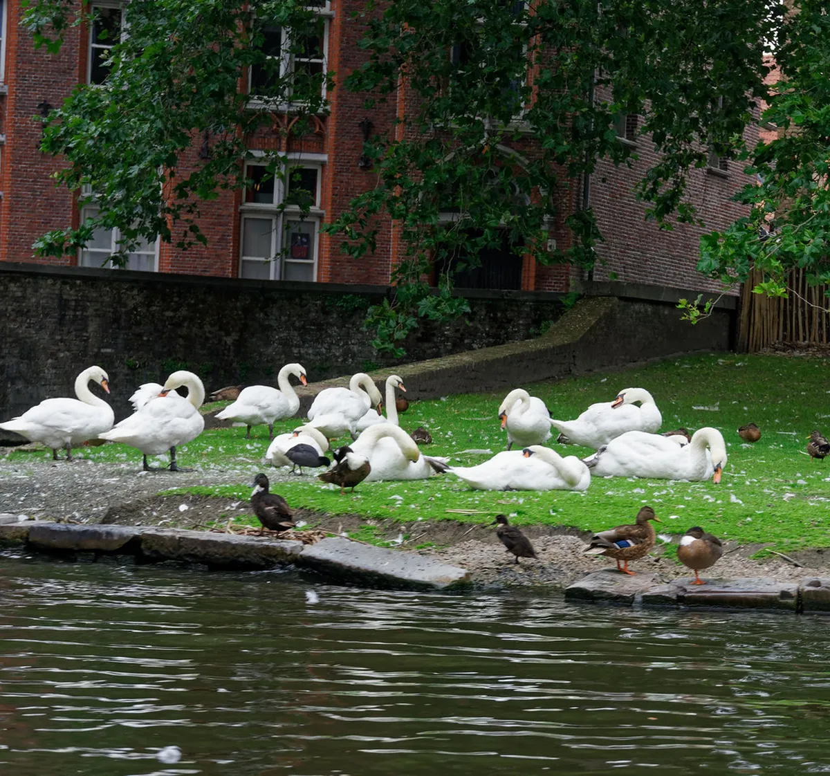 Canal Boats, the Belfry, and Horse Carriages in Bruges