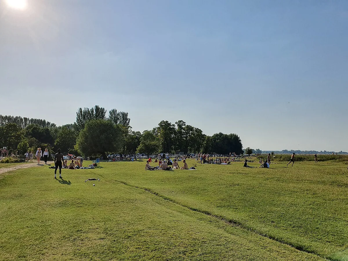 Open meadow and grazing land beside the river in Oxford, United Kingdom — 1