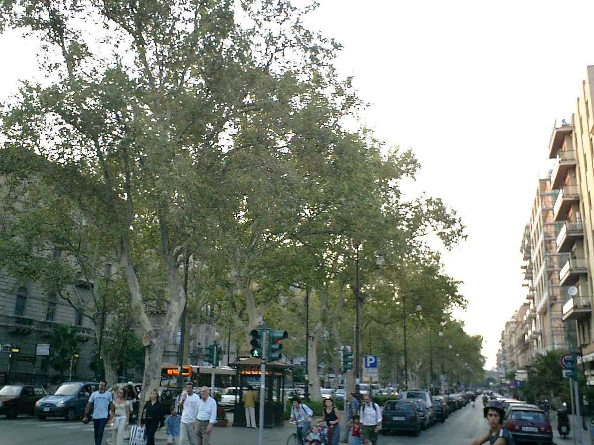 Free public landmarks and streets in Palermo, Italy — 2