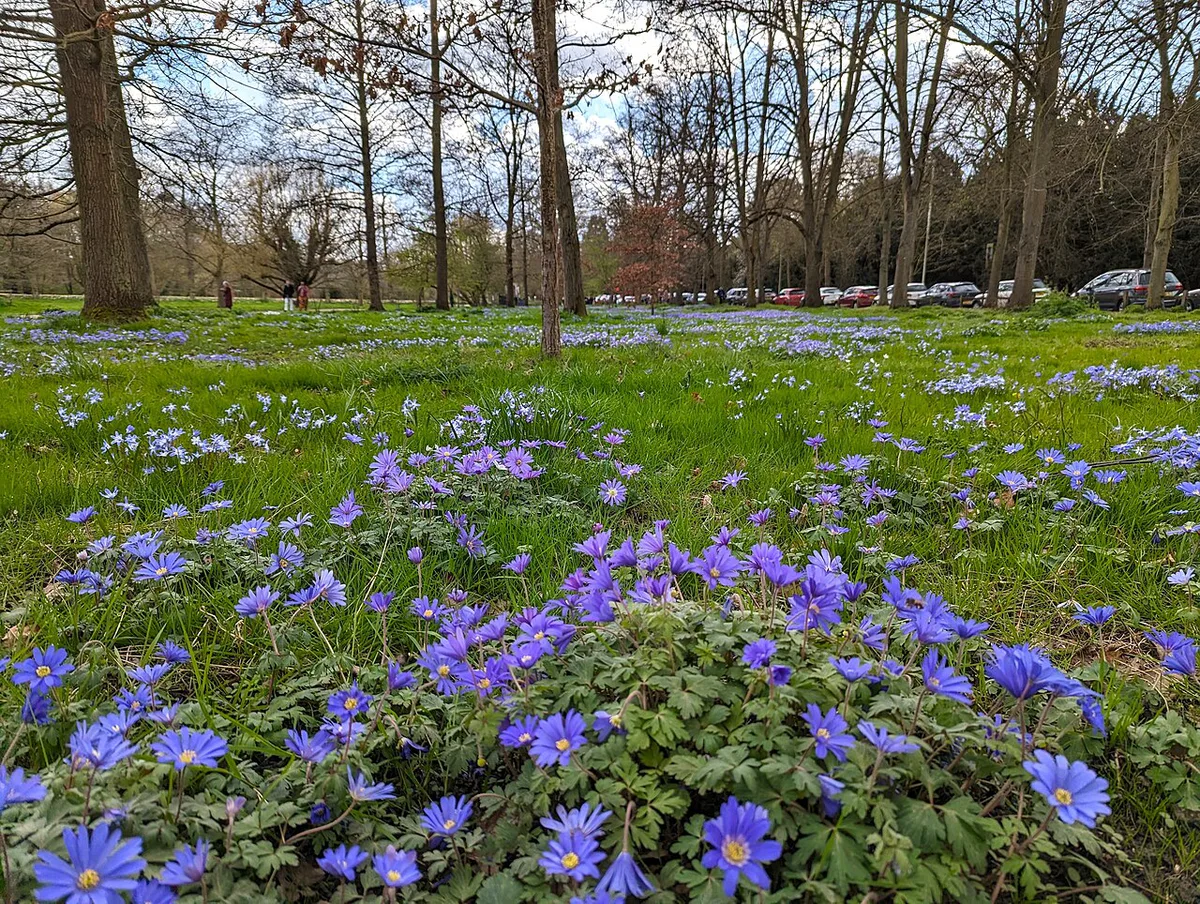 Grantchester Meadows, Cambridge, United Kingdom — 1