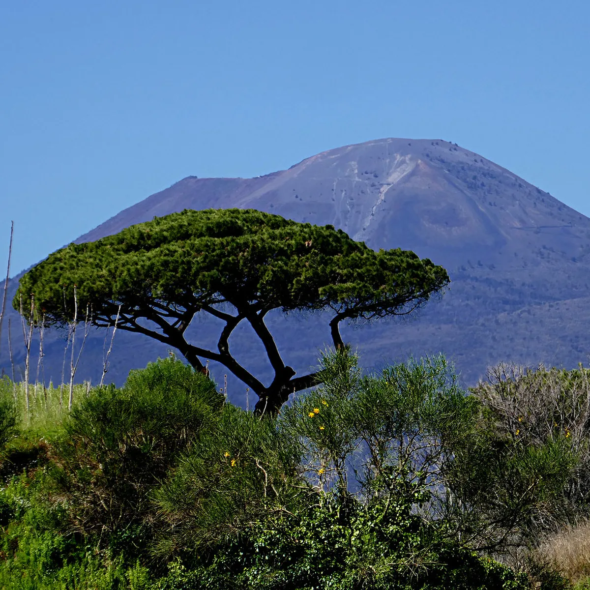 When a Pompeii and Vesuvius Combo Pass Makes More Sense in Naples