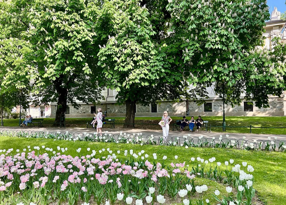 Planty Park