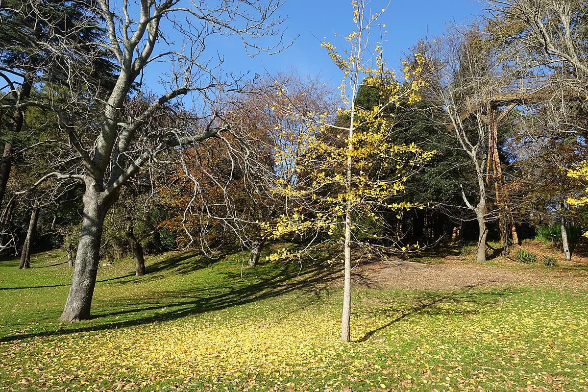 Parque de Serralves (3) — 1