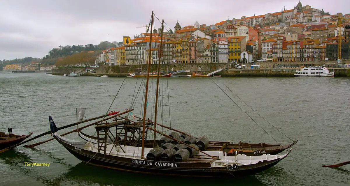 Make a Gaia Cellar Visit Work with Kids in Porto