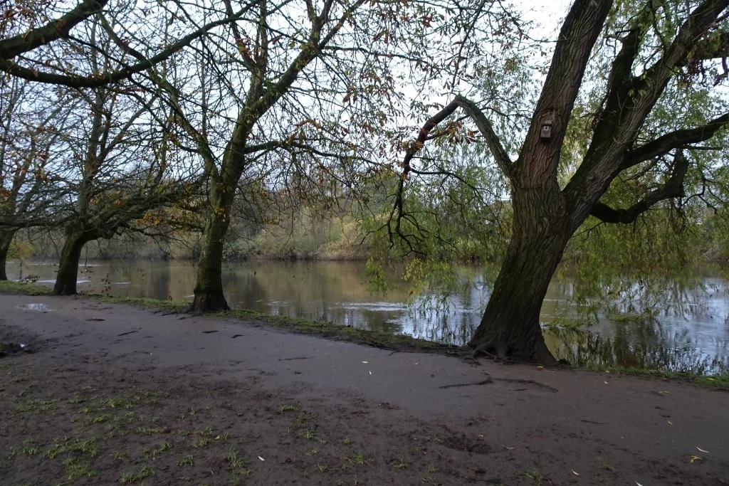 River Ouse beside New Walk - geograph.org.uk - 8197194 — 1