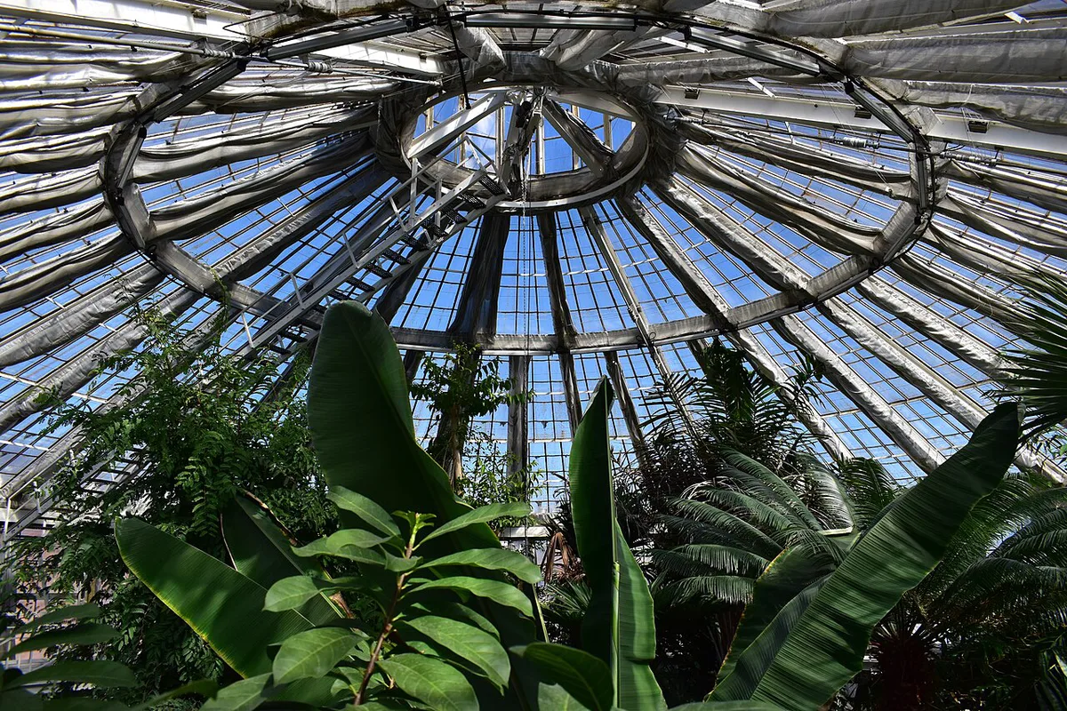 Underground galleries of Cisternerne and the Palm House at the Botanical Garden, Denmark — 2