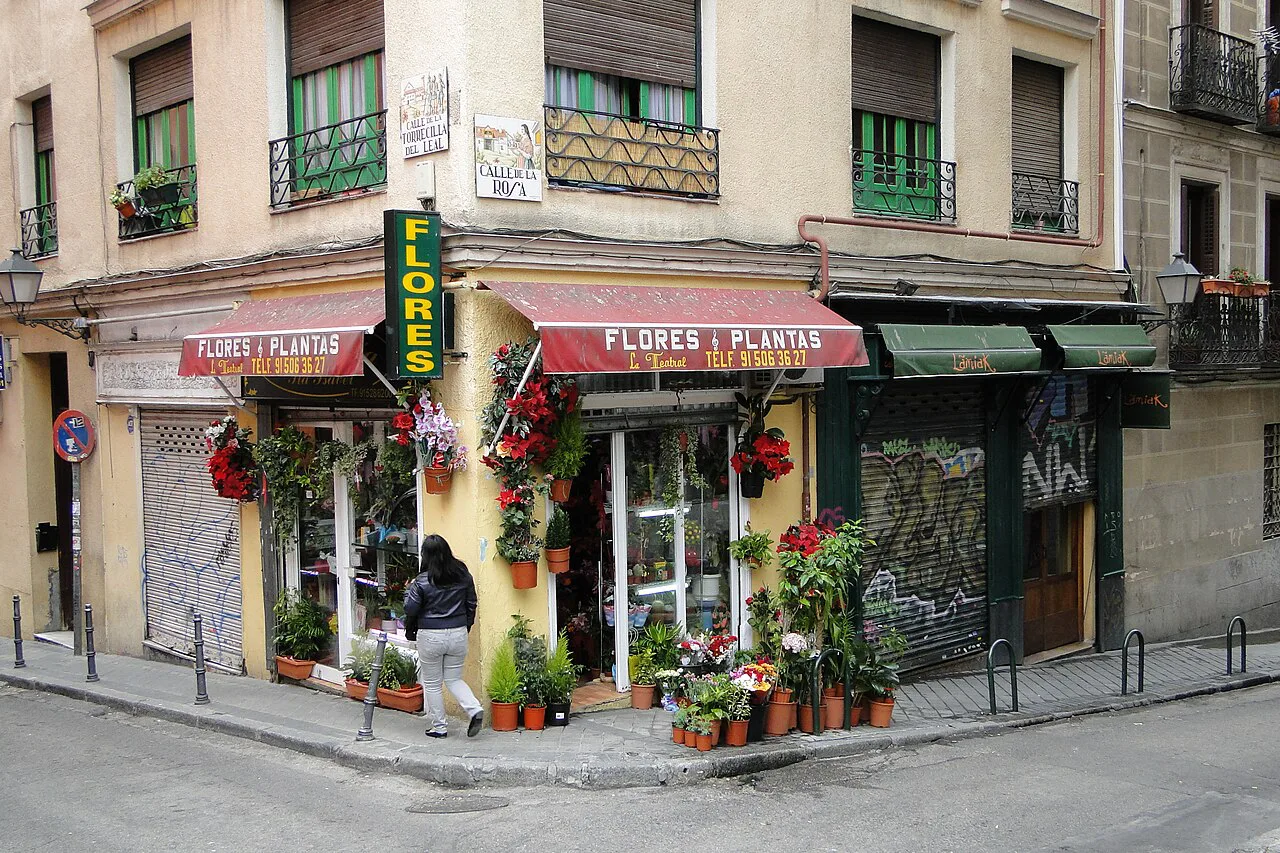 Shopping in Madrid: A Neighborhood Guide for 2026