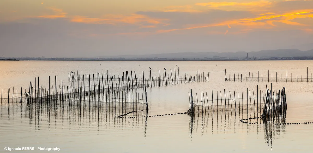 Albufera and Parque de Cabecera: Nature Day Trips With Kids in Valencia